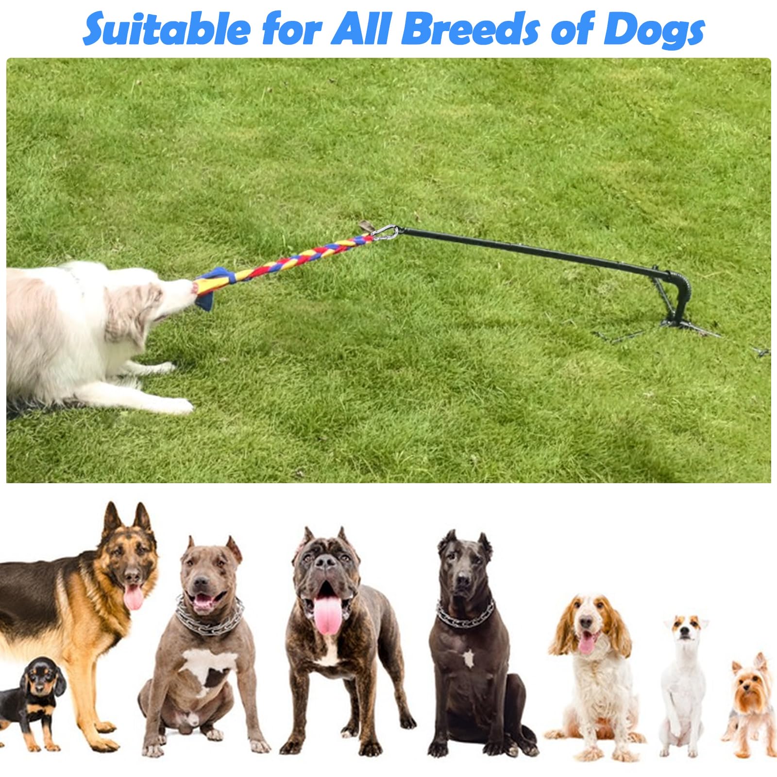 SYOOY backyard dog play setup in a sunny yard