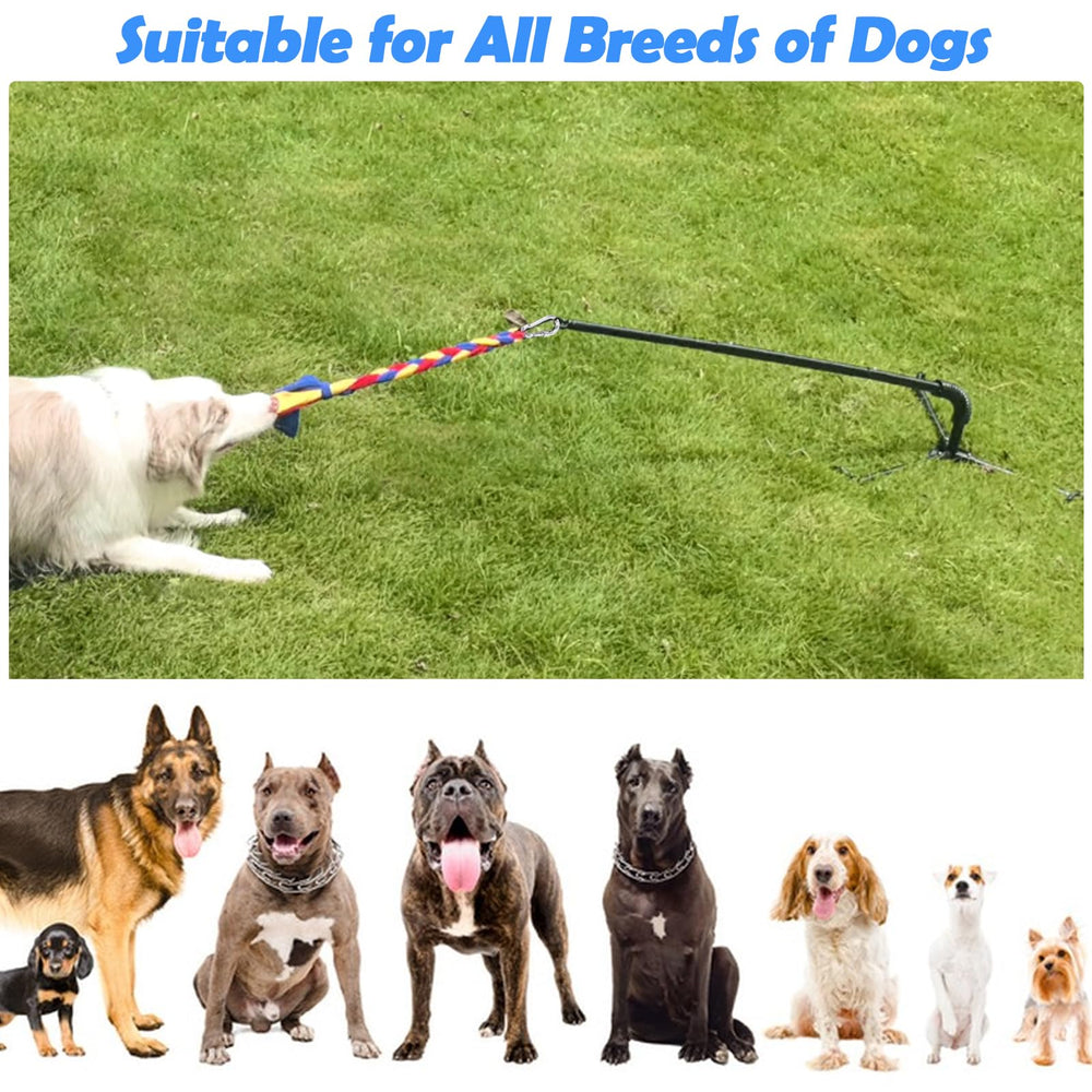 SYOOY backyard dog play setup in a sunny yard