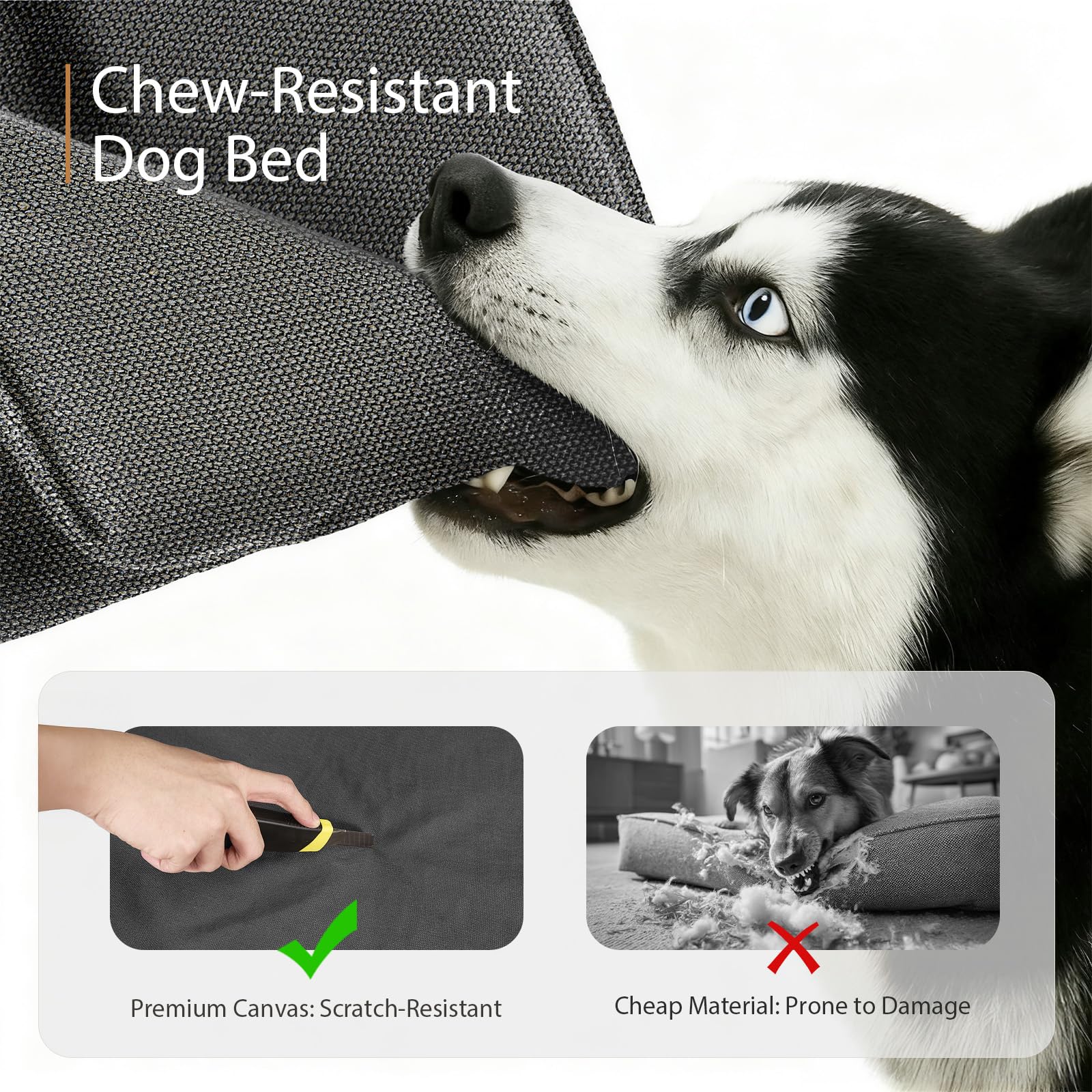 Sytopia large dog bed with 3 inch orthopedic foam for joint friendly rest.