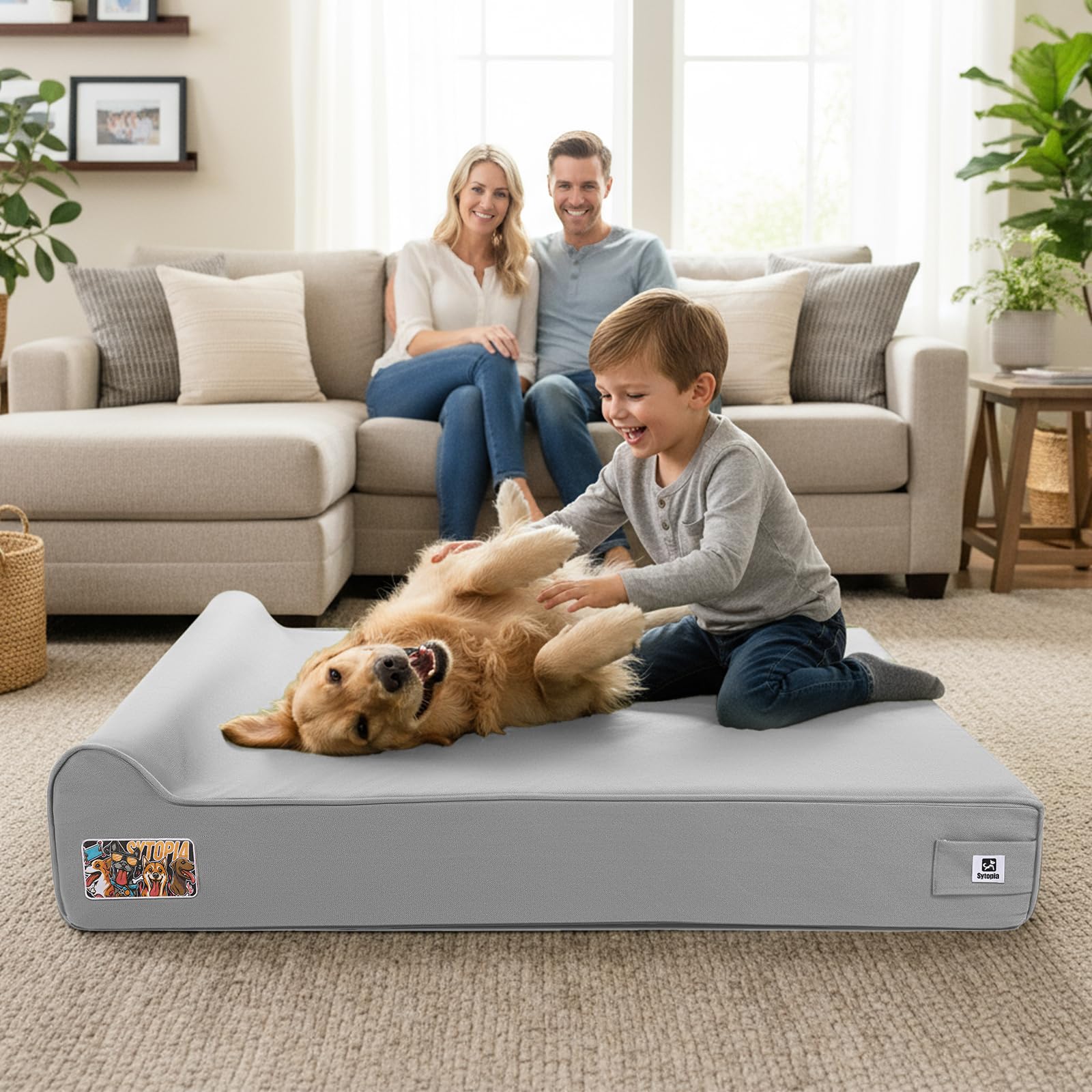 Sytopia dimensions 50x34x10 inches for large dogs and spaces.