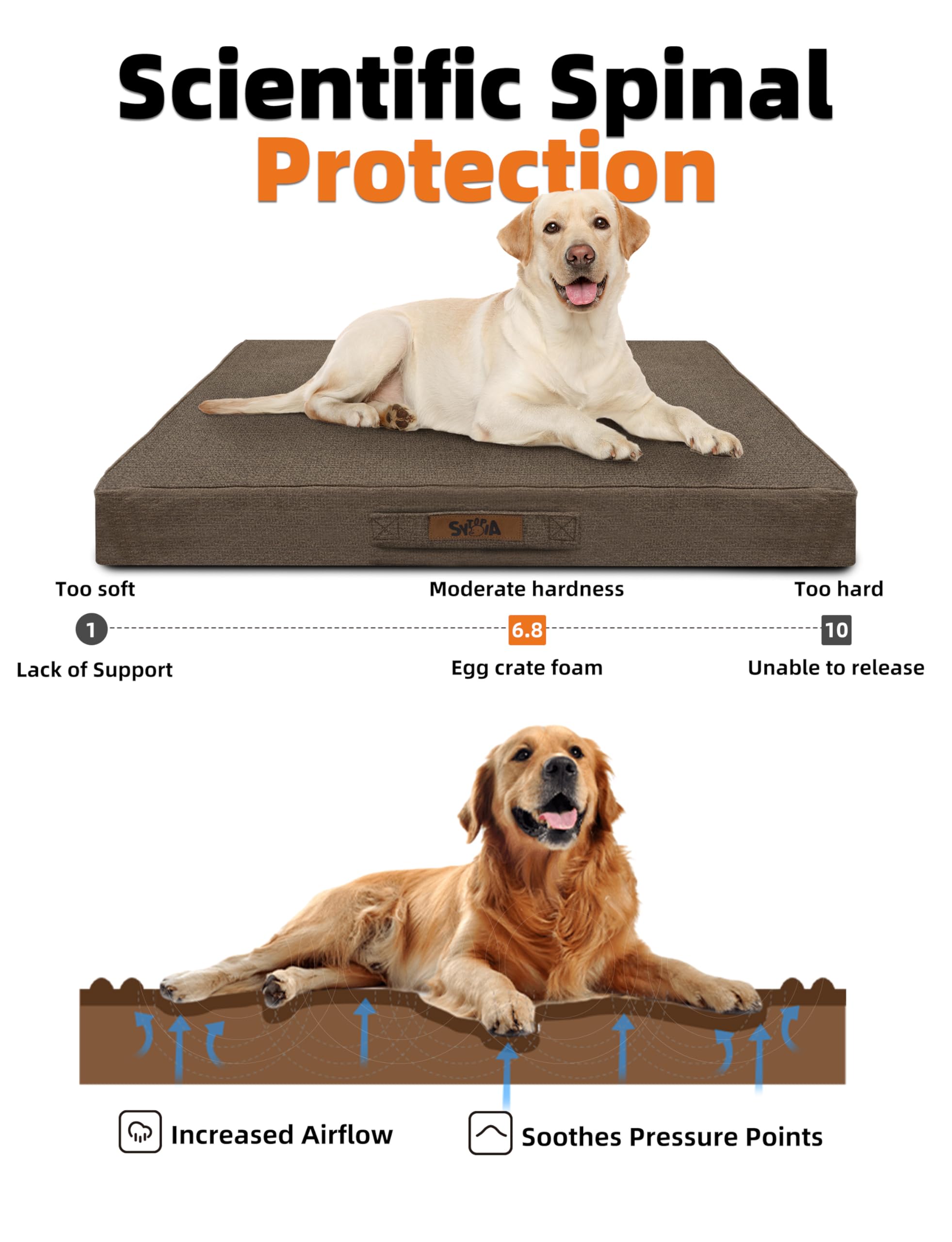 Sytopia orthopedic bed shows egg-crate foam core for even weight distribution.