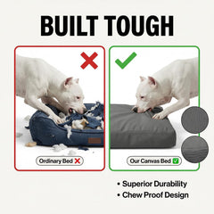 Sytopia dog bed designed for indoor and outdoor use as crate pad or stand-alone.