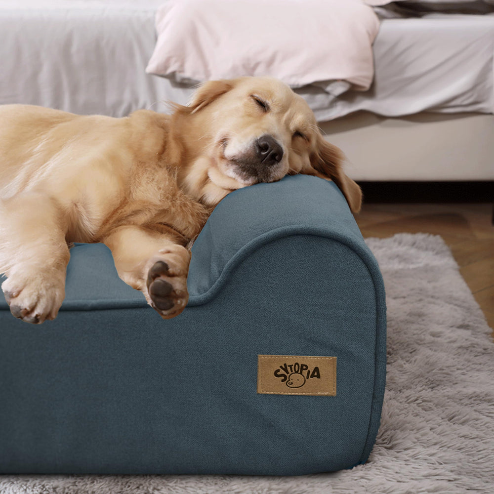Sytopia reinforced-stitching ensures lasting durability for active large dogs.