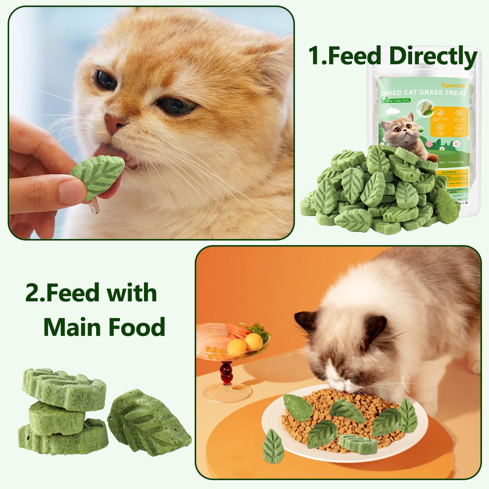 SYWUAII serving suggestion shows proper portioning to avoid overfeeding.