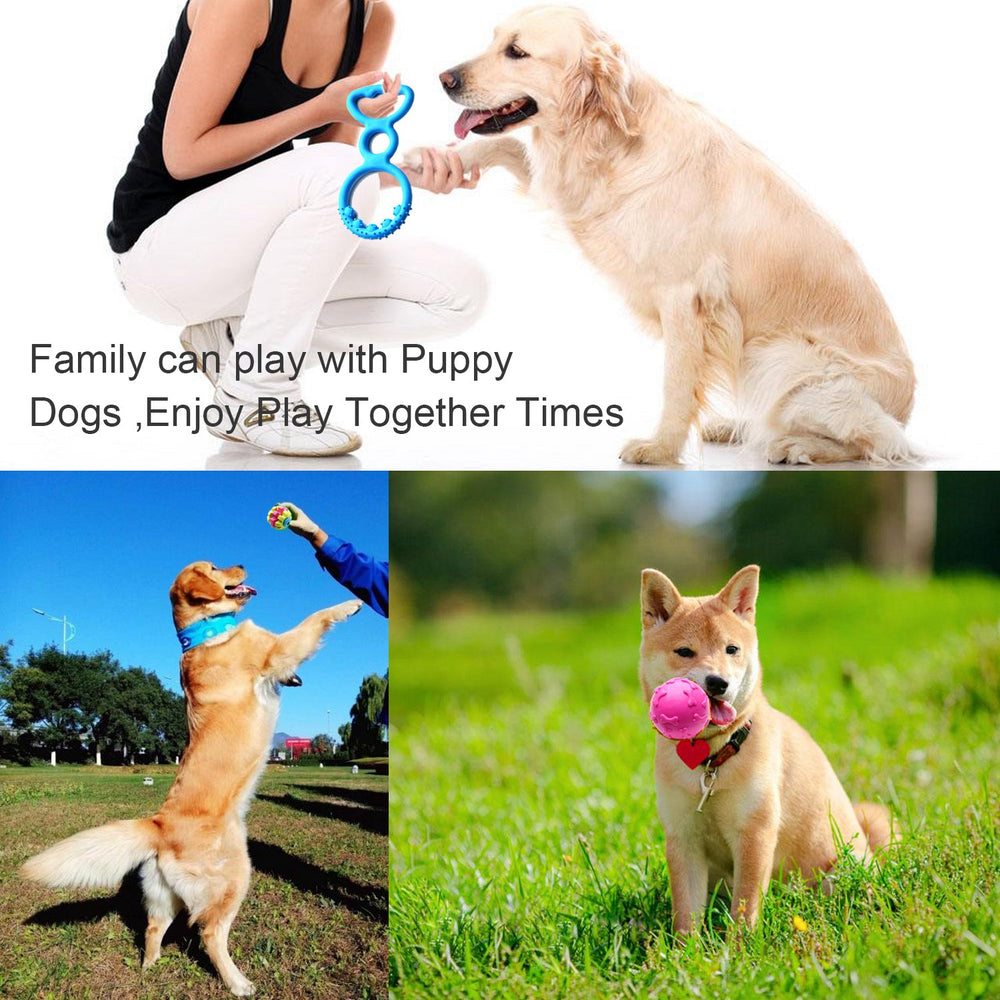SZKOKUHO colorful-designs brighten playtime and attract dogs to chew and explore