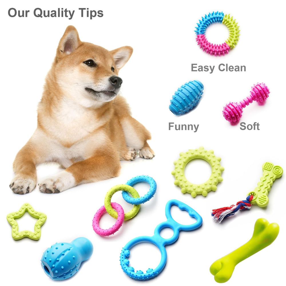SZKOKUHO training-play toys support agility practice and bonding time