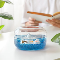 T4U blue aquarium stones layout to create a fairy tale underwater scene.
