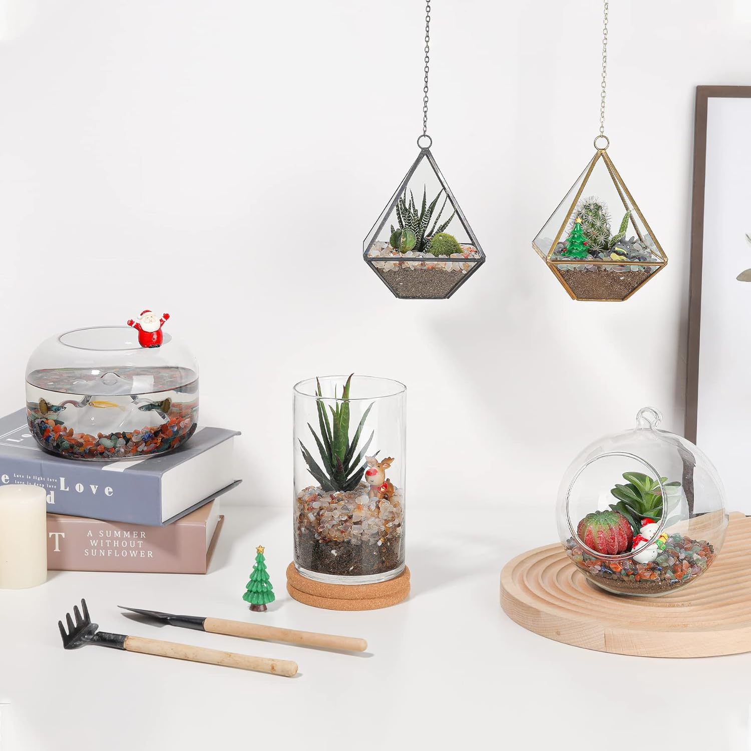 T4U crystal chips for indoor terrariums and air plants elevating mini ecosystems