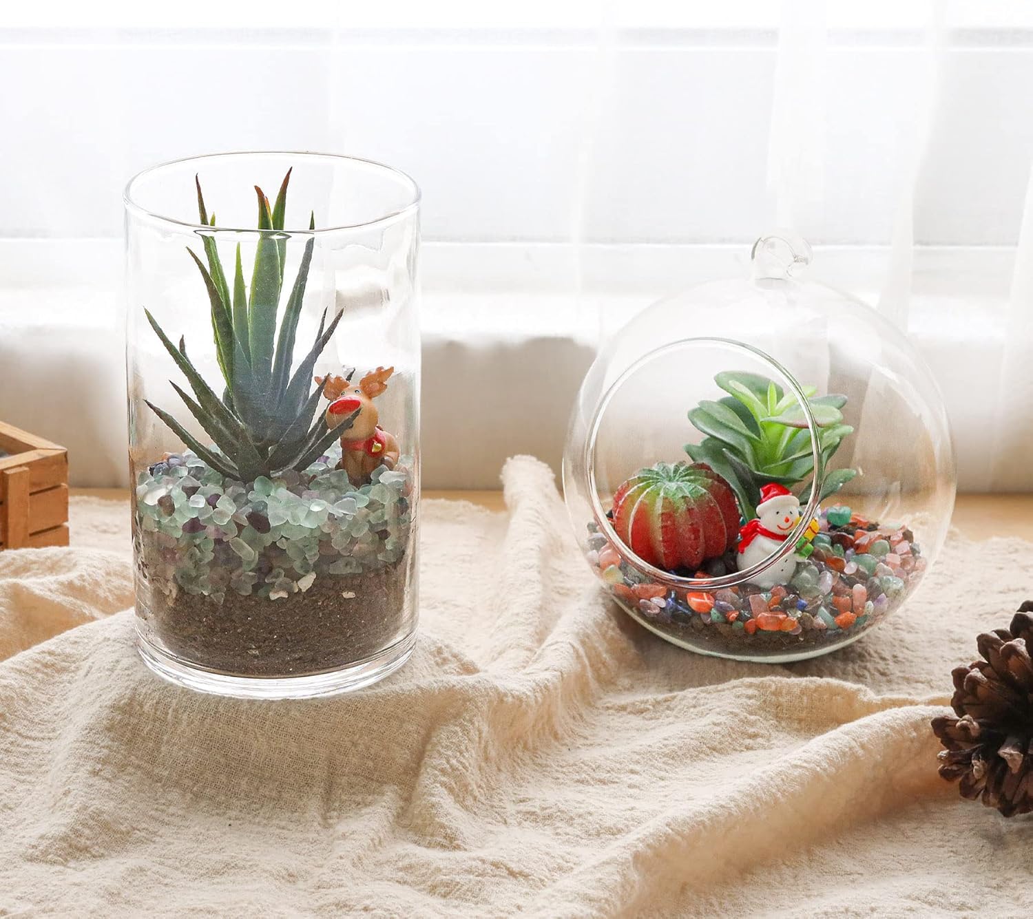 T4U crystal chips top dressing for succulents to create chic plant displays