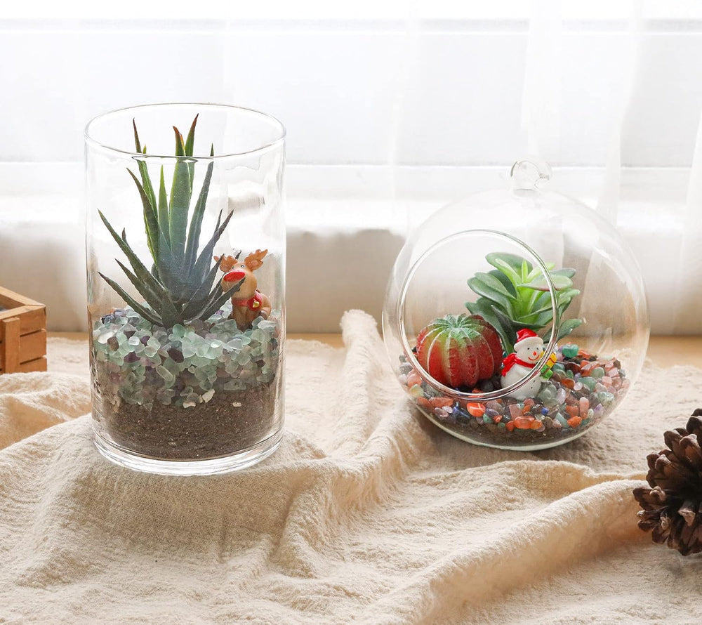 T4U crystal chips top dressing for succulents to create chic plant displays