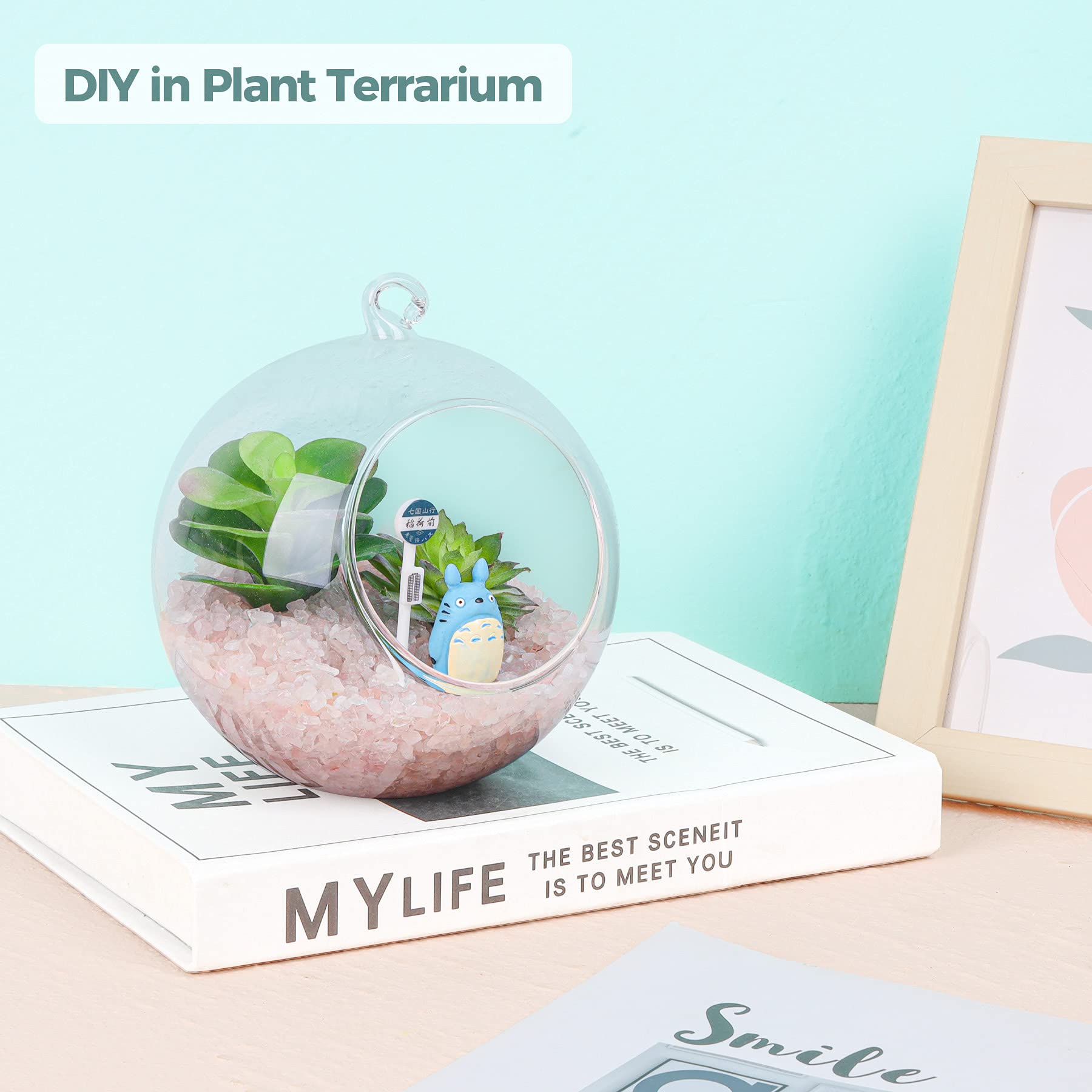 T4U plant decor with crystal chips enhances succulent planters
