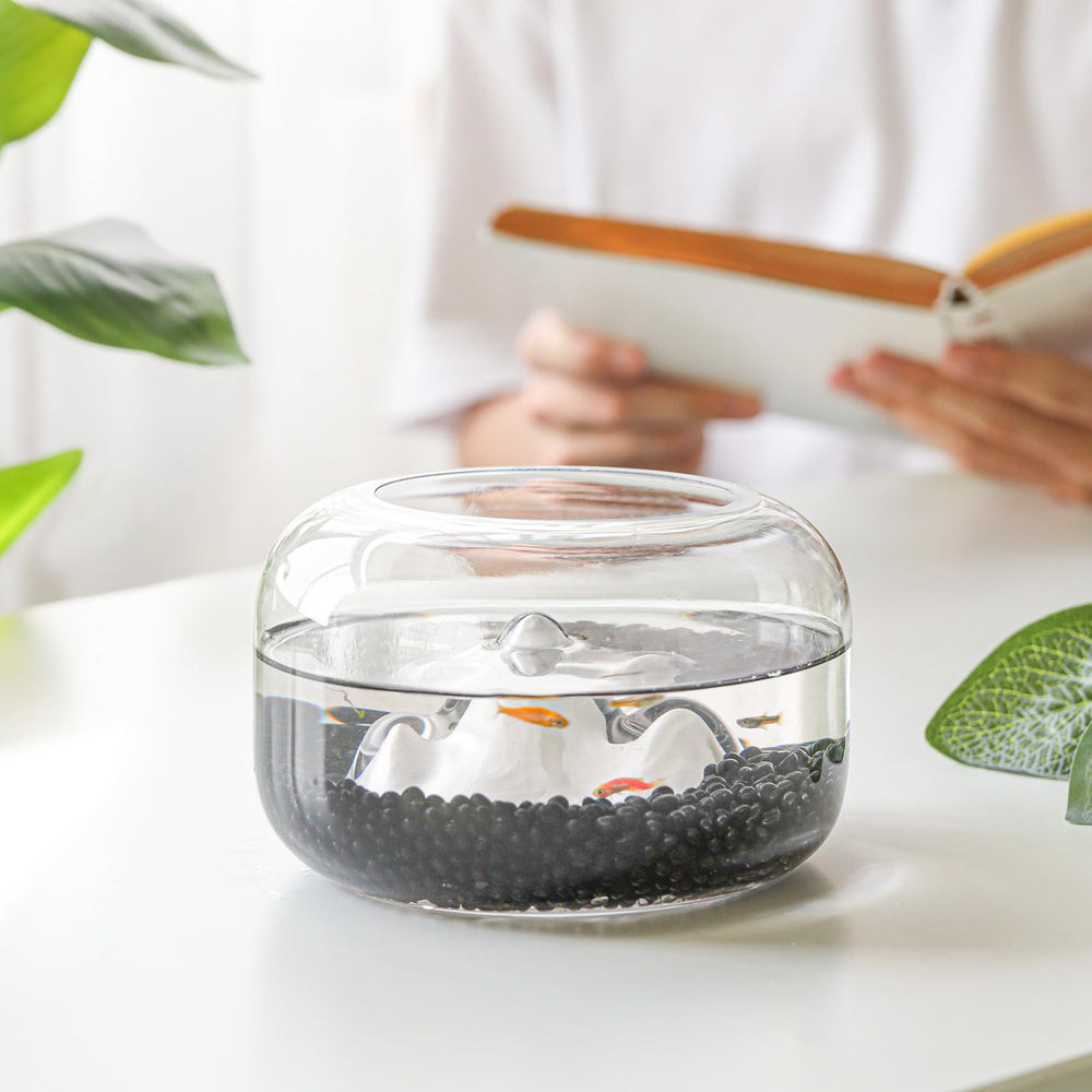 T4U planter decor pebbles elevate indoor plant arrangements
