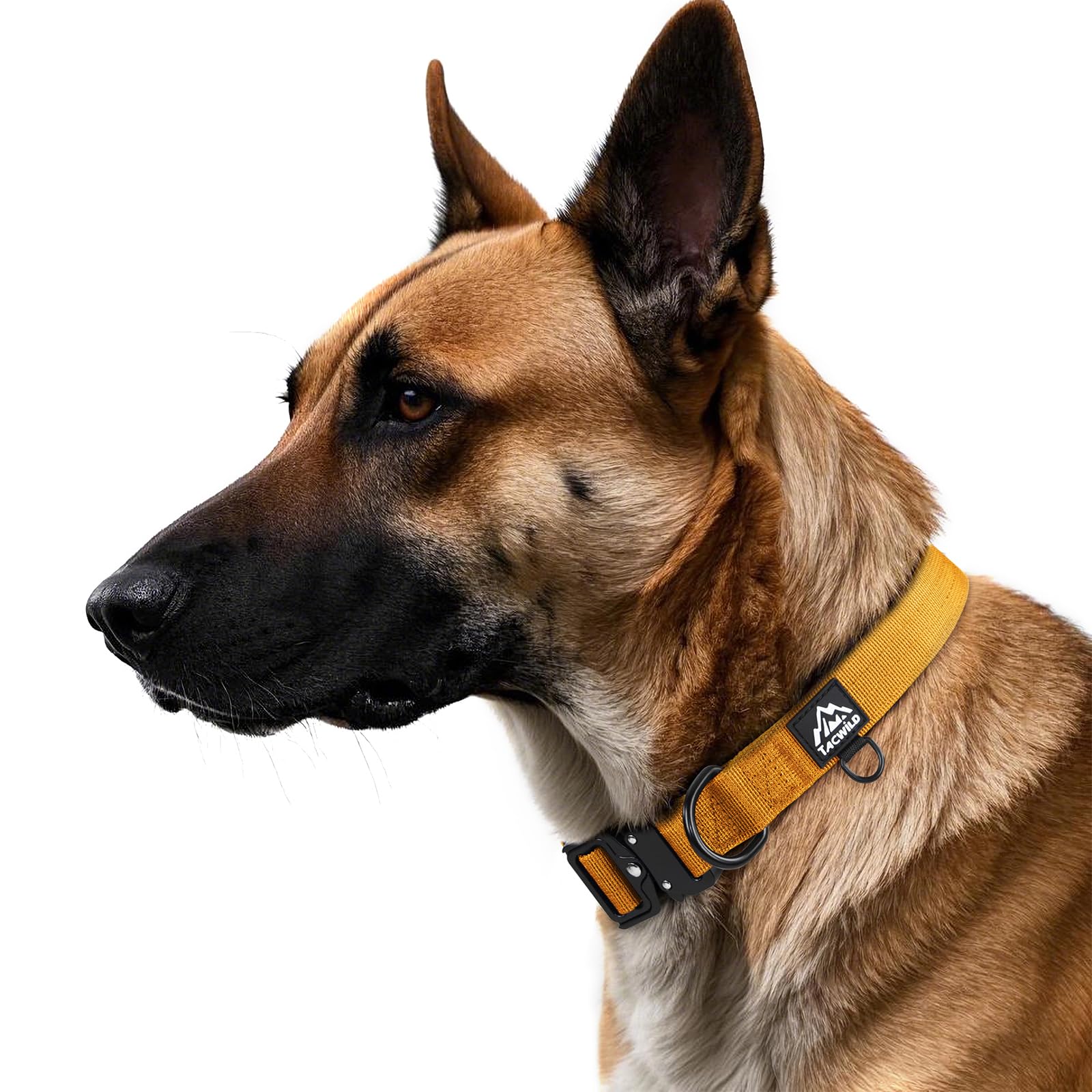 Tacwild adjustable non-slip dog collar ensures a snug fit for medium and large dogs.