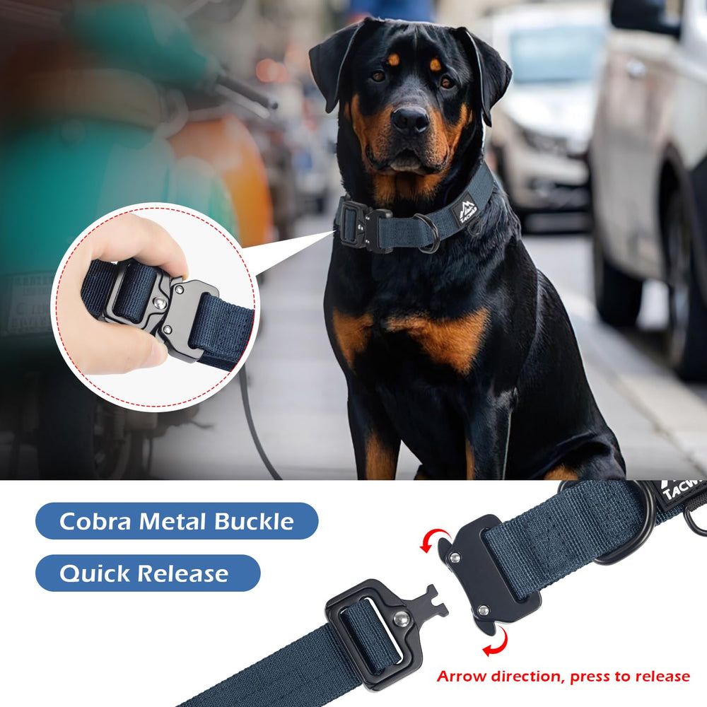 Tacwild collar shows D-ring attachment for secure leash connection during walks.