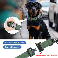 Tacwild large dog collar with D-ring for secure leash attachment