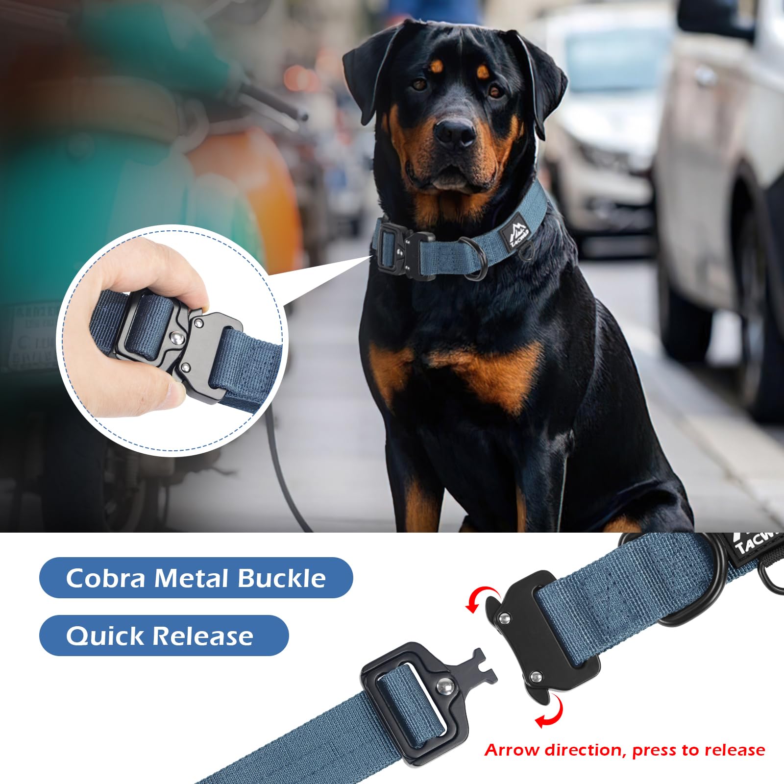 Tacwild heavy-duty collar with D-ring for secure leash attachment