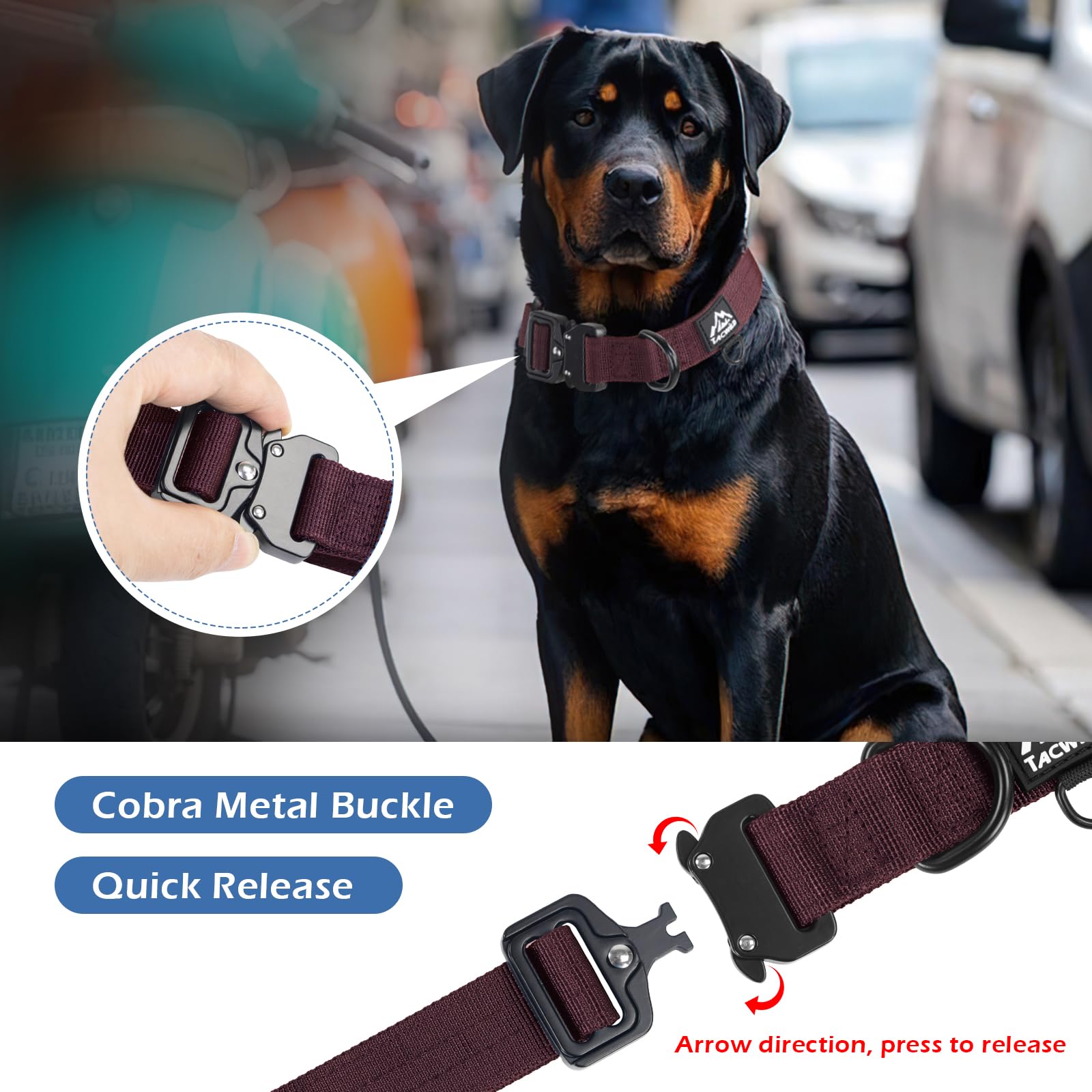 Tacwild collar D‑ring for easy tag attachment during activities.
