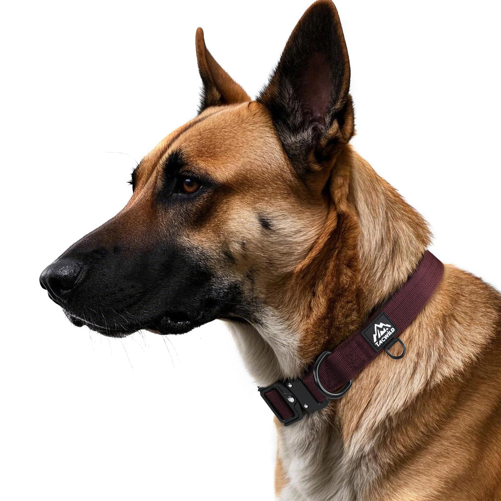 Durable 1000D nylon stitching reinforces toughness on Tacwild collar.