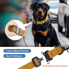 Tacwild metal quick-release buckle collar offers easy on/off and secure closure.