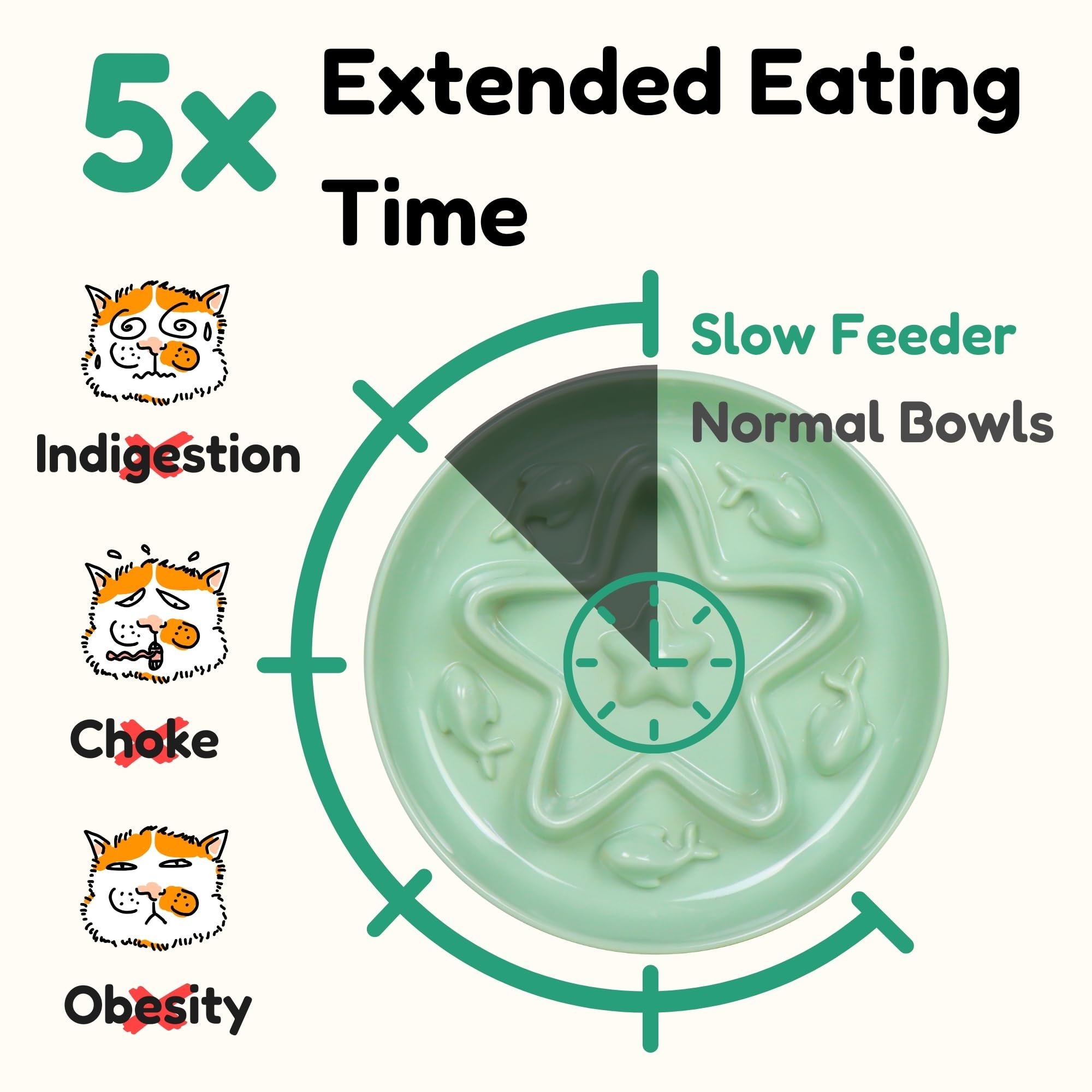 Tafelf whisker-friendly wide-design bowl supports comfortable, mess-free feeding sessions.