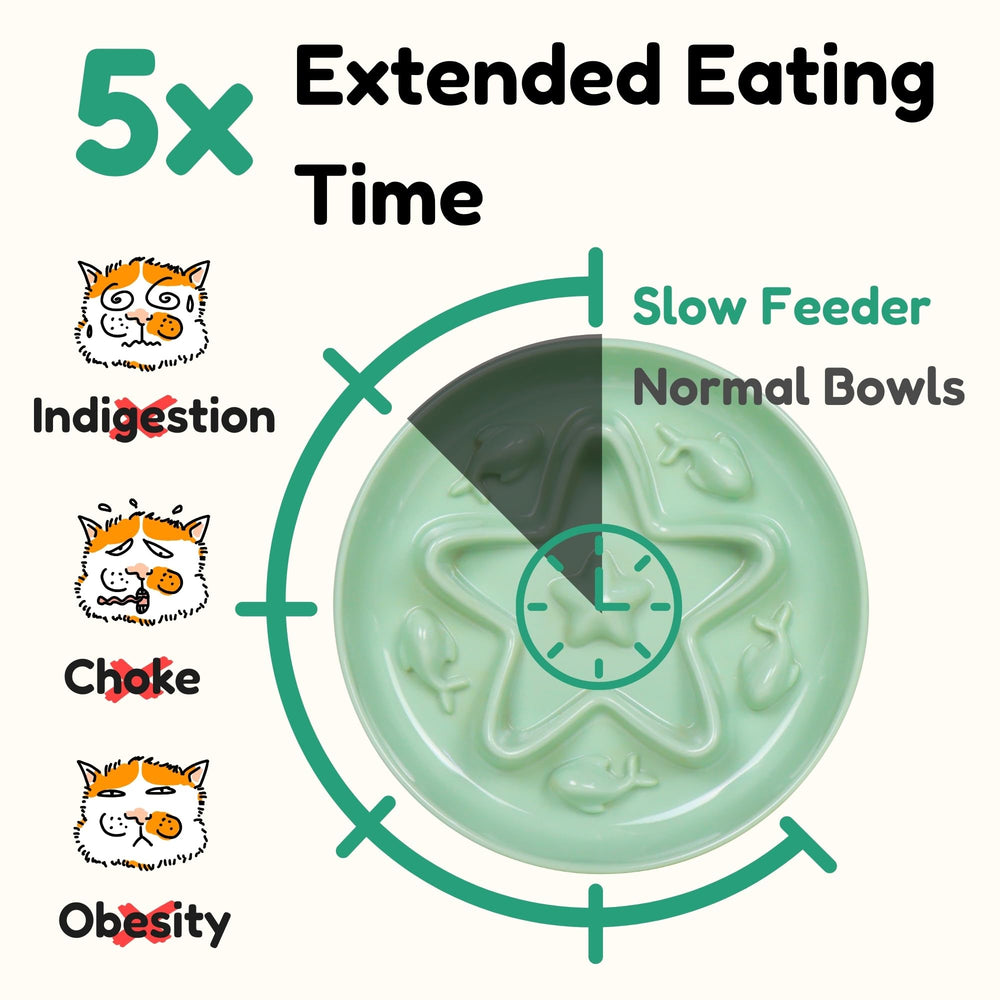 Tafelf whisker-friendly wide-design bowl supports comfortable, mess-free feeding sessions.