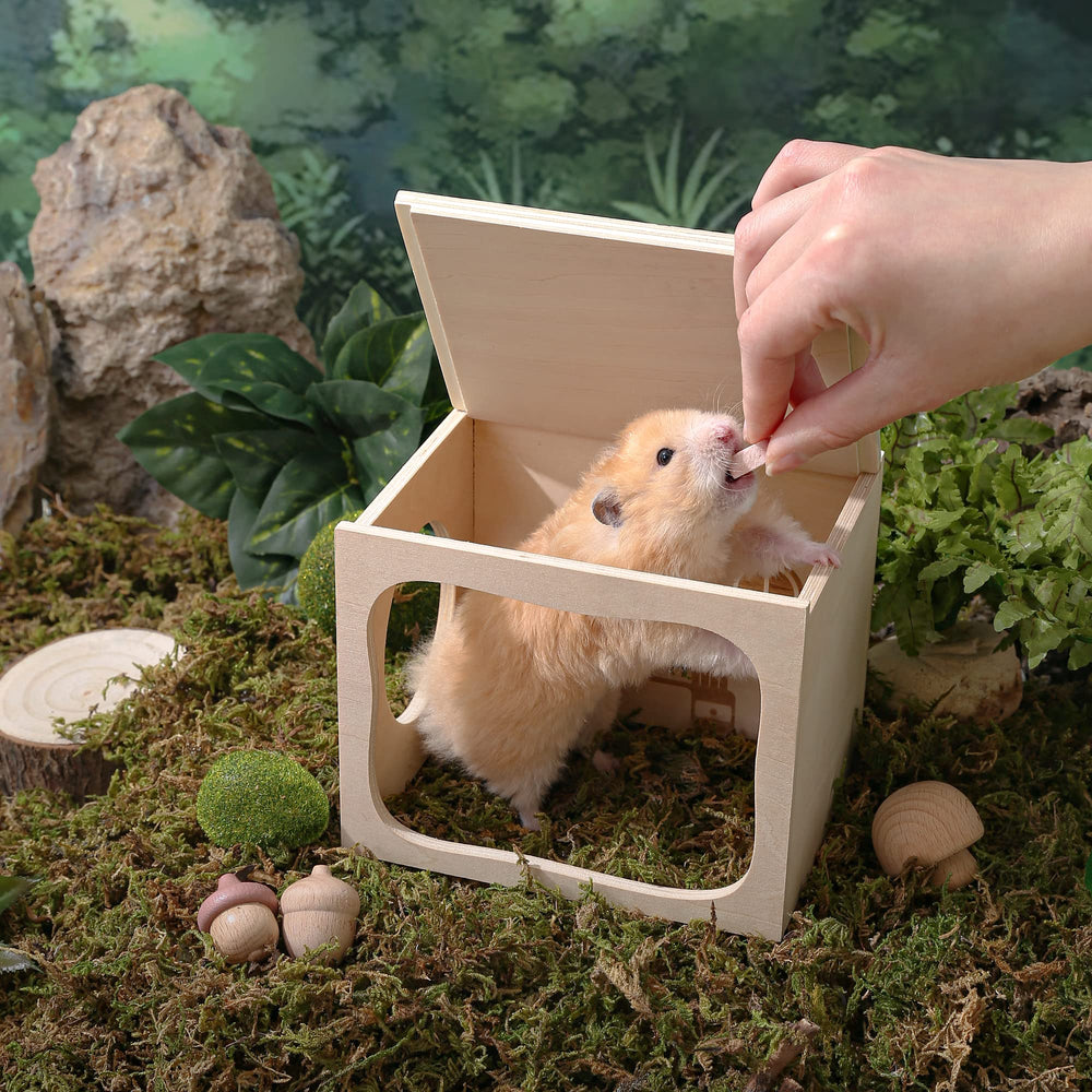 tafit hamster hideout detachable cover for easy observation and cleaning