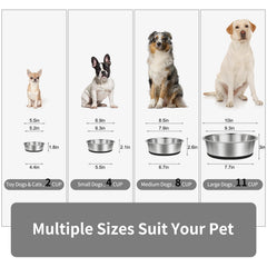 Taglory stainless steel dog bowls featuring anti-slip silicone base for secure feeding