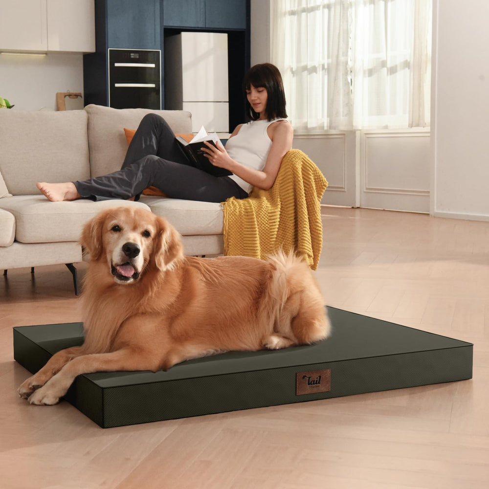 Tail Stories 36x27 inch bed fits rooms and travels well