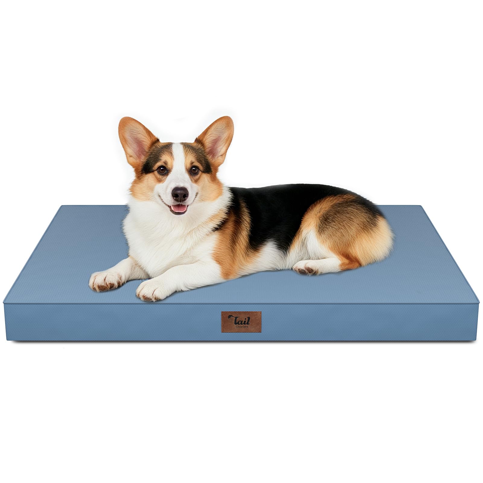 Tail Stories large outdoor dog bed in blue, top view for spacious comfort.
