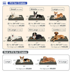 Tail Stories orthopedic egg-crate foam shows even weight distribution for large dogs
