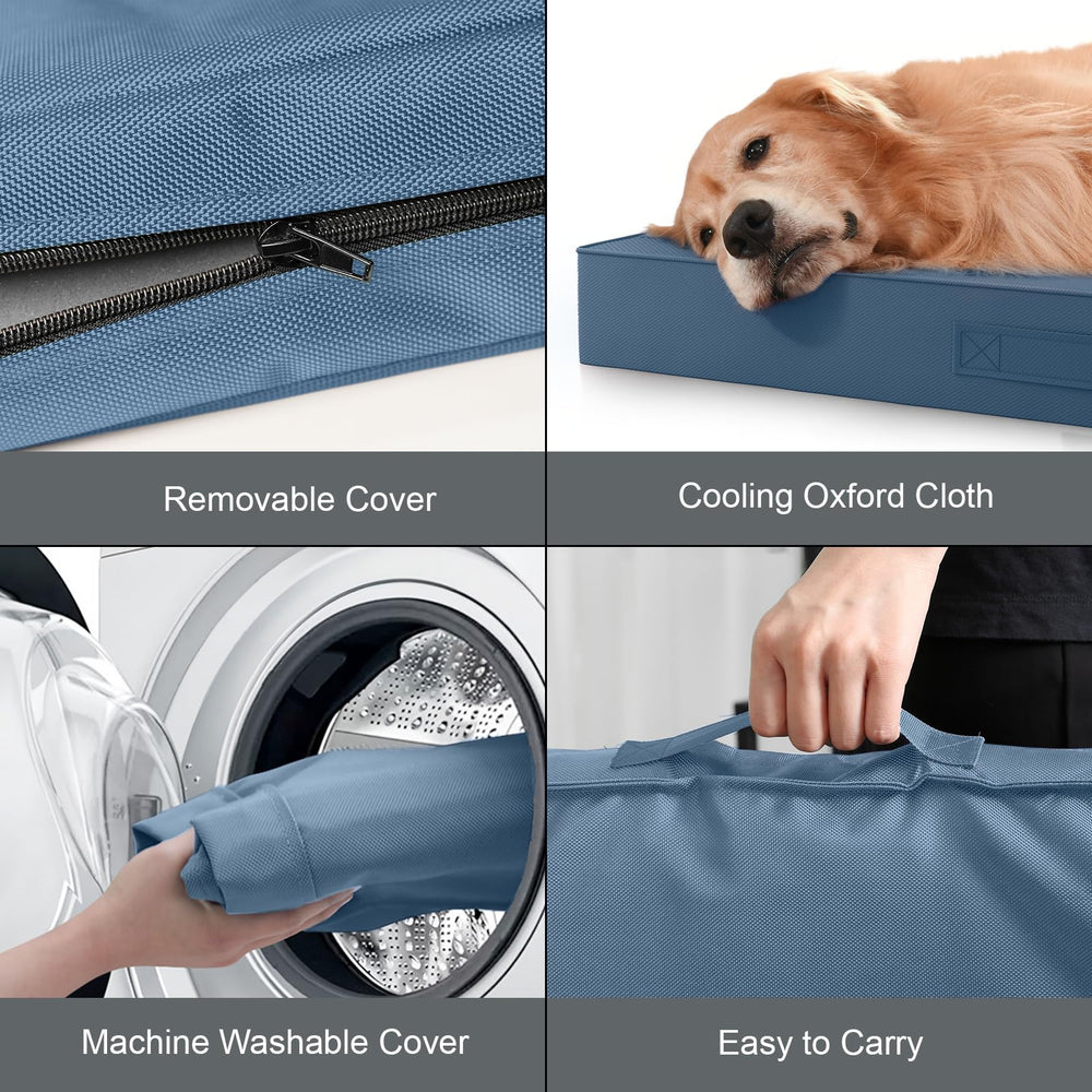 Tail Stories XXL bed shipped vacuum-packed and expands to full size