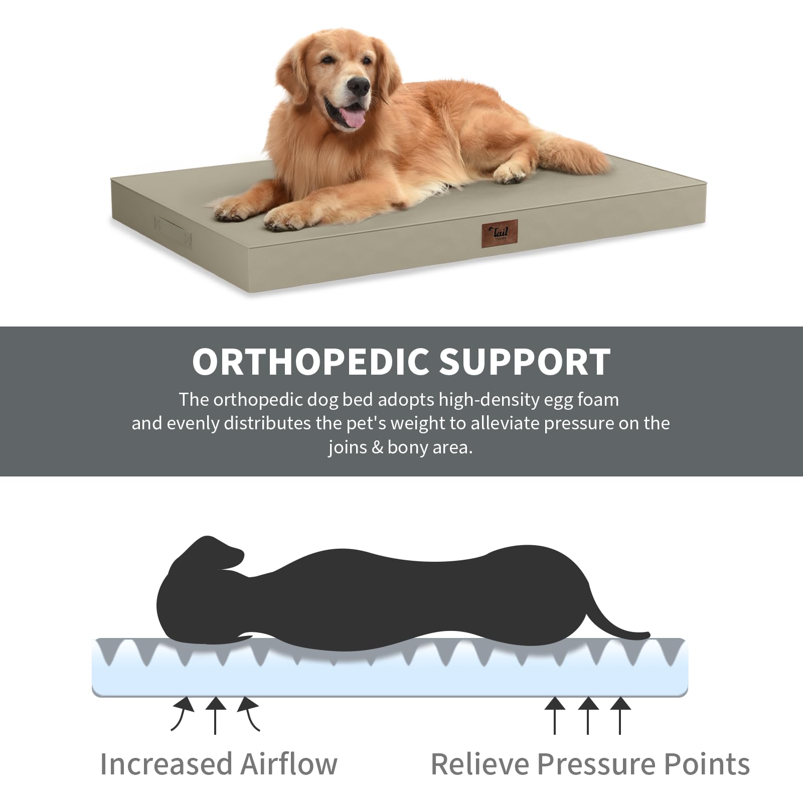 Tail Stories removable machine-washable cover for easy cleaning