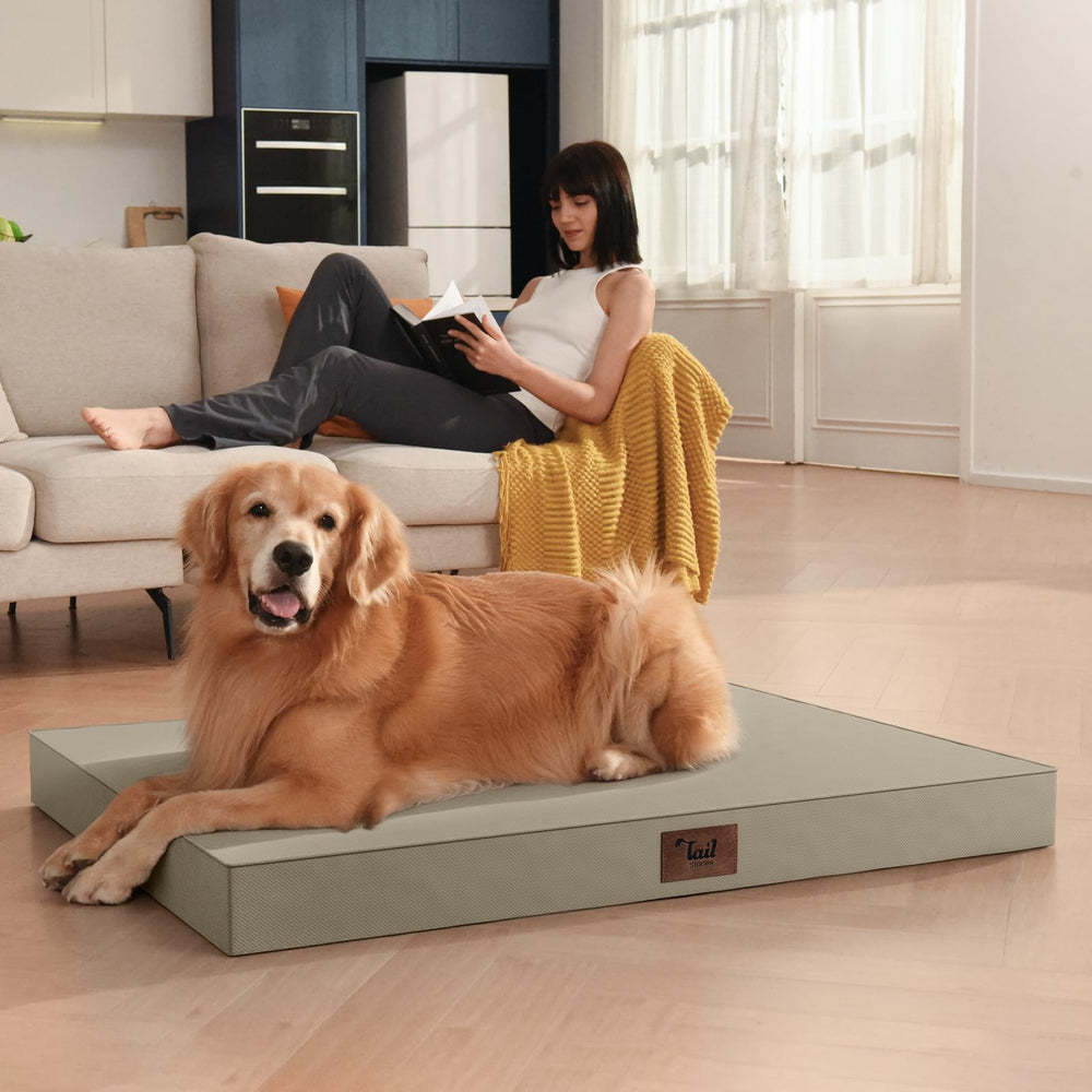 Tail Stories foam ships vacuum-packed for easy expansion