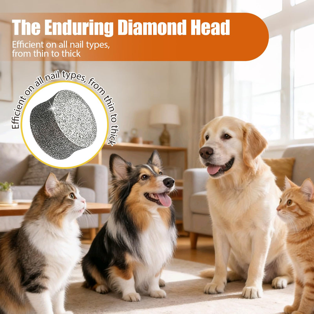 TAILNERY dog nail grinder quiet operation reduces stress during grooming.