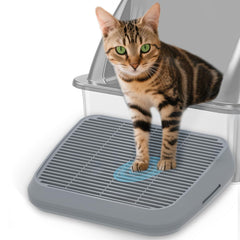 TAILRYTH elevated litter box ramp for kittens enabling safe, easy entry