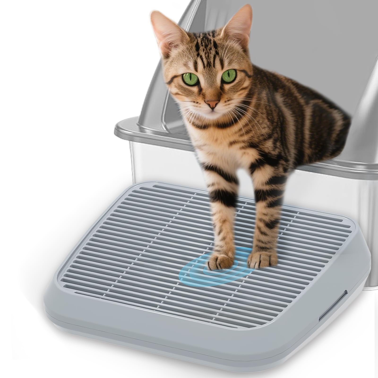 Tailryth elevated litter box ramp eases kitten access and movement.
