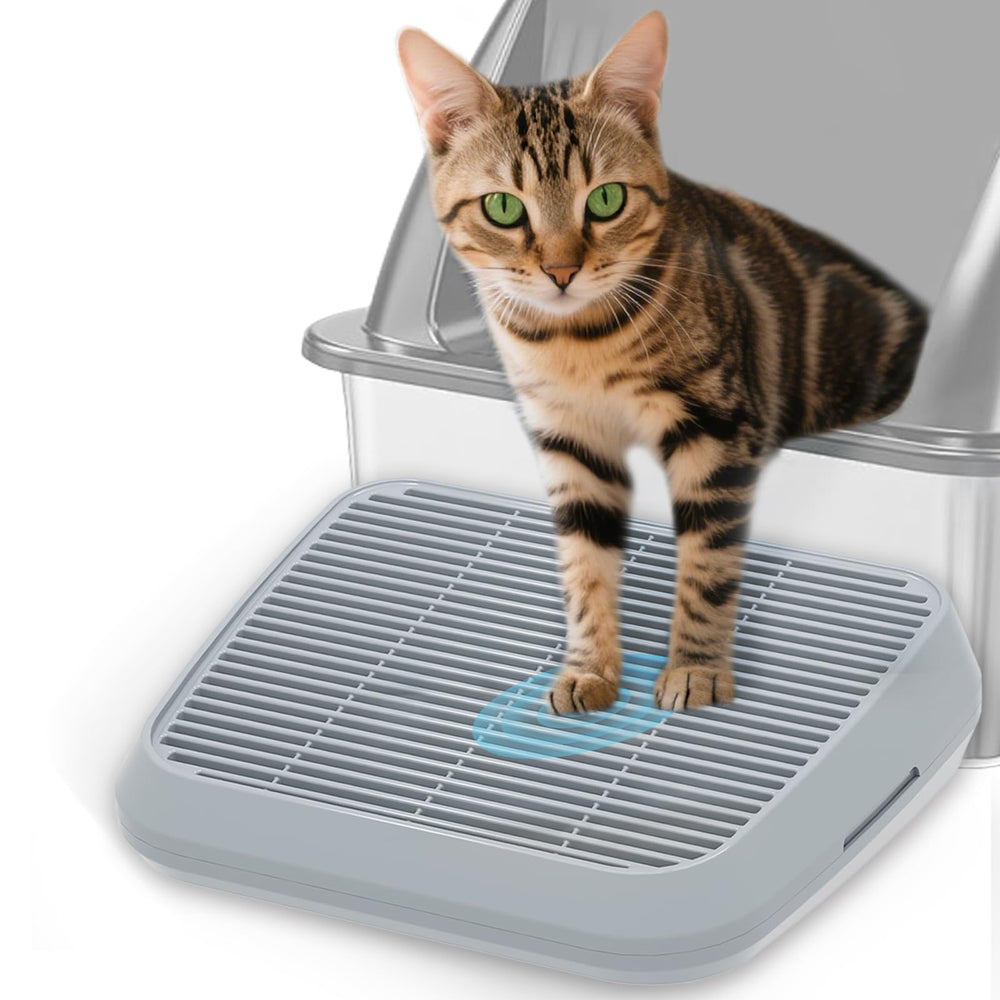 Tailryth elevated litter box ramp eases kitten access and movement.
