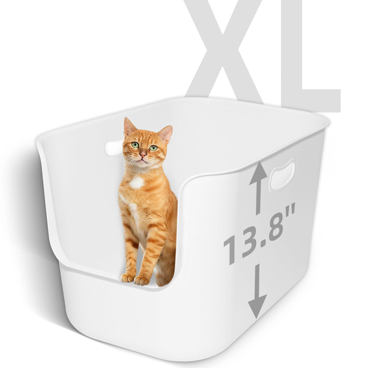 TAILRYTH extra large high sided litter box open top view for easy access and airflow.