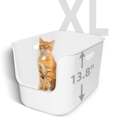 TAILRYTH extra large high sided litter box open top view for easy access and airflow.