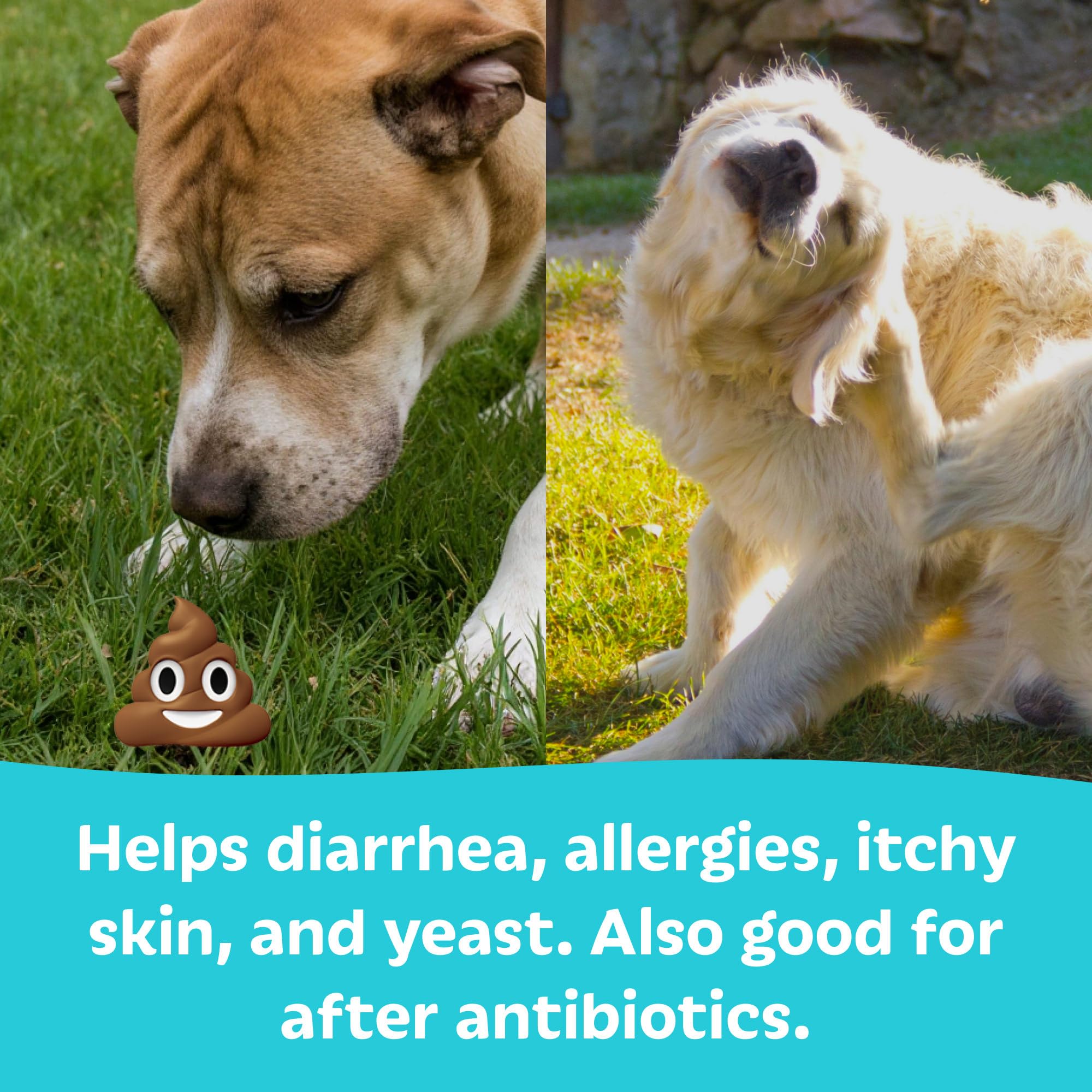 Tails 'N' Tummies probiotic pack front highlighting simple seven-ingredient formula.