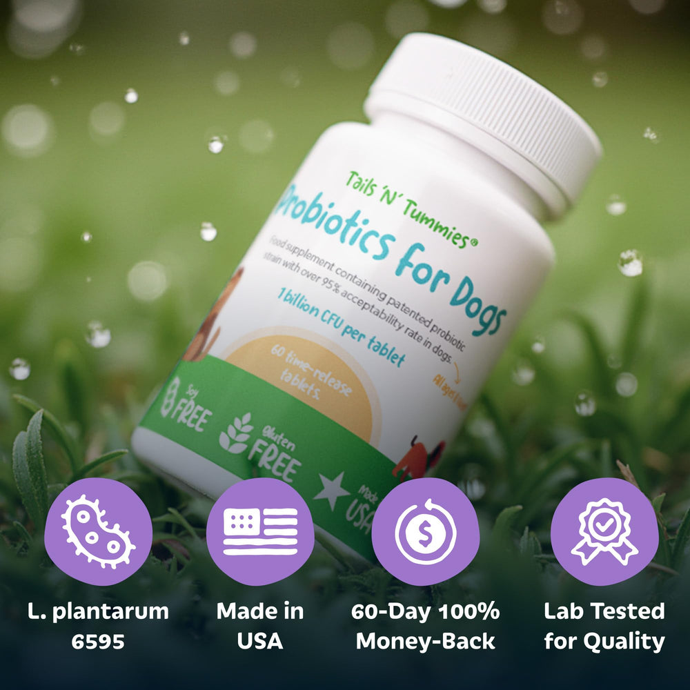 Tails 'N' Tummies product shot on shelf emphasizes clean, dog-friendly probiotic.