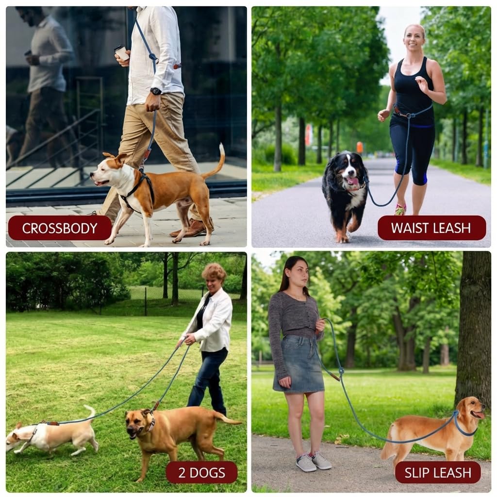 Tails & Tales adjustable length leash offering short to long range in one setup.