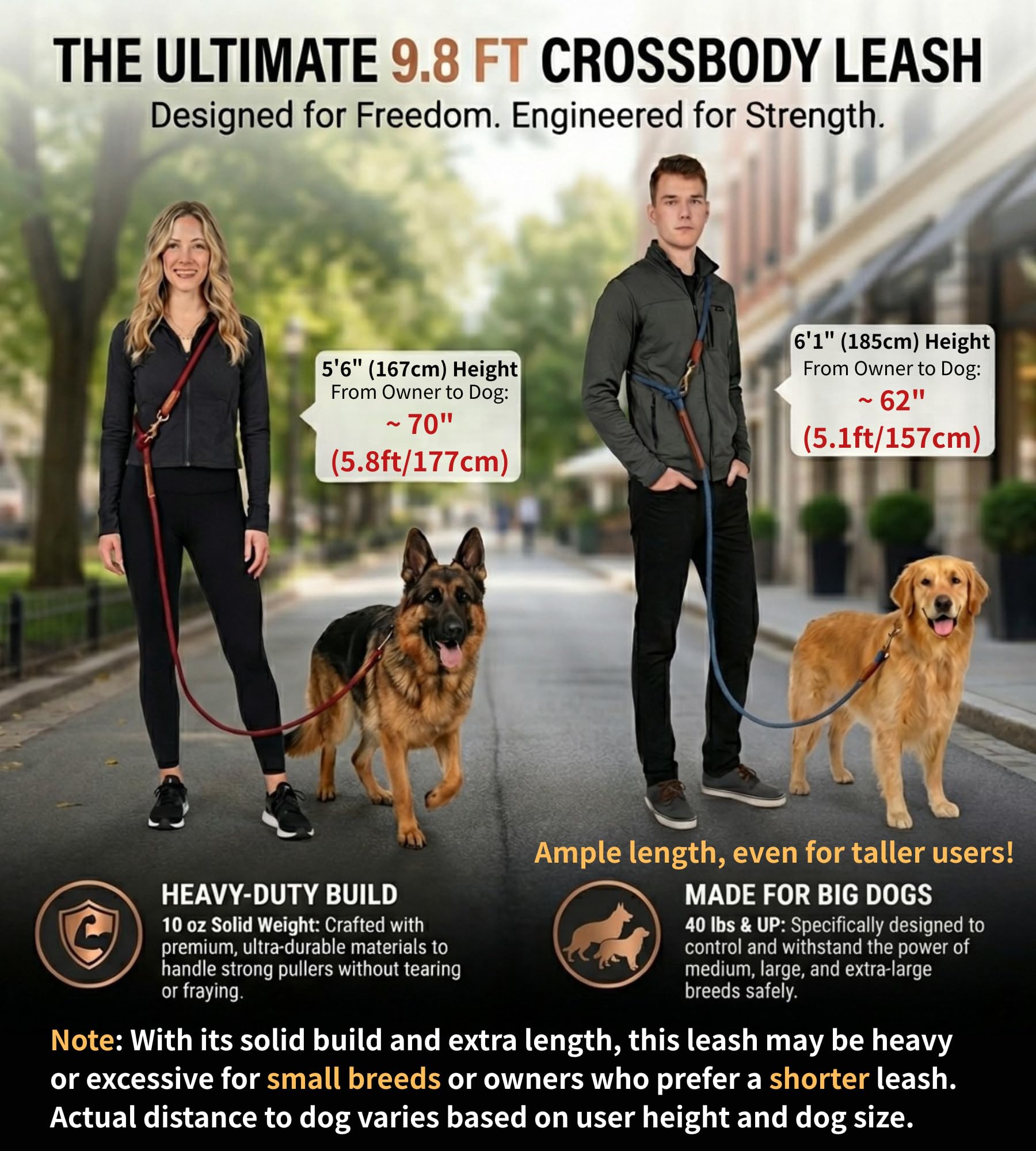Tails & Tales dual-handle slip-lead configuration for close supervision.