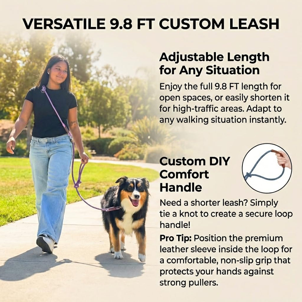Tails & Tales no-pull training leash mode for controlled sessions.