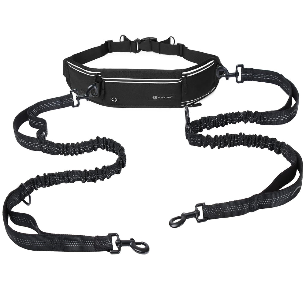 Tails & Tales two-dog walking setup supports two-dog walks