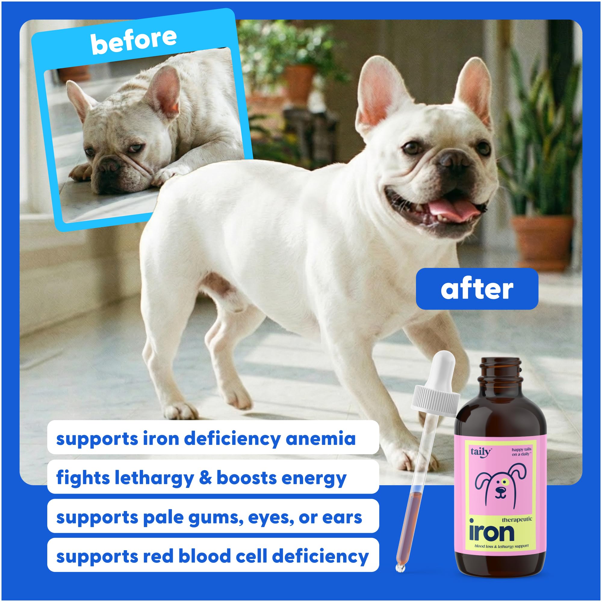 Close-up of dropper dispensing liquid iron for quick absorption in dogs and cats.
