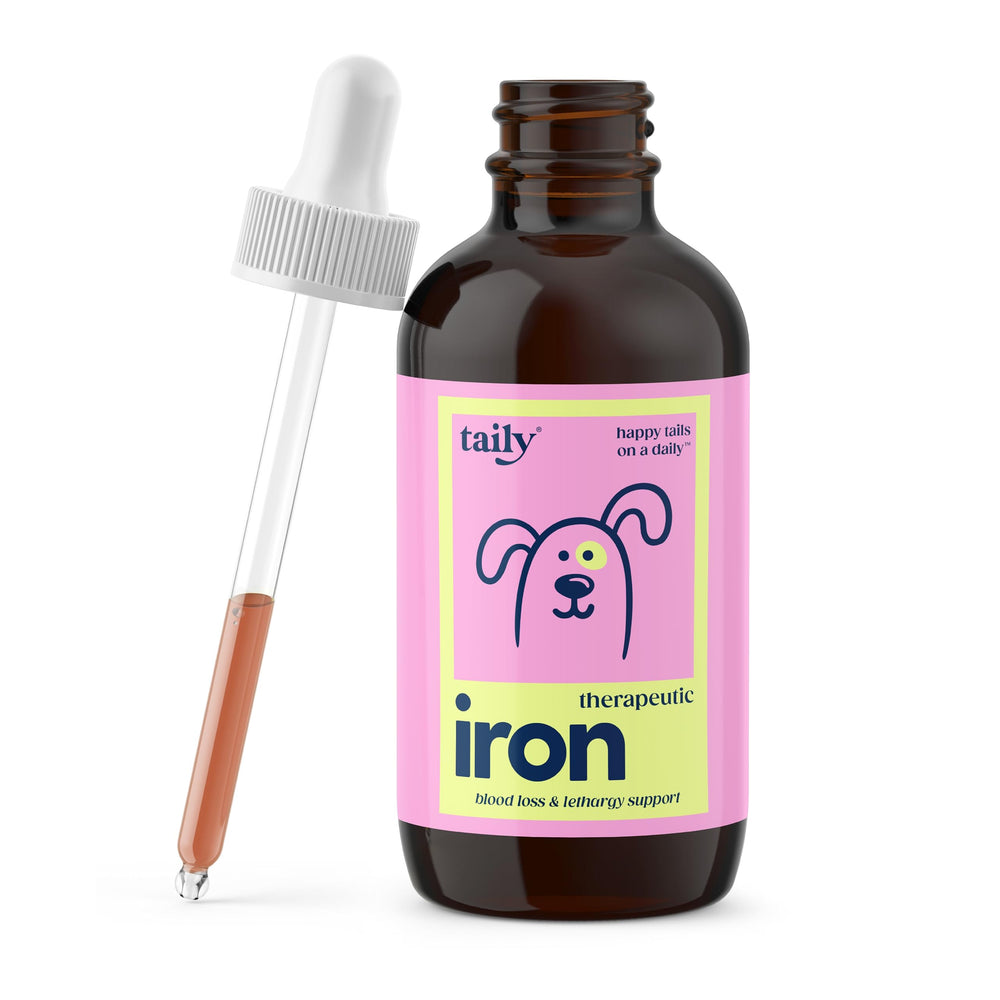 Taily AminoPets liquid iron supplement bottle shown for easy daily use and support.