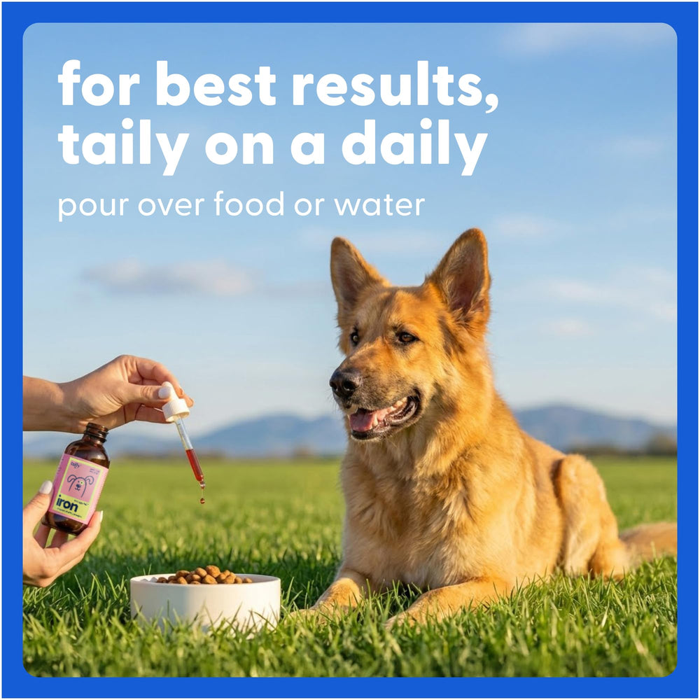 AminoPets bottle being poured by owner demonstrates quick morning dosing.