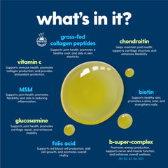 Taily human-grade ingredients label emphasizes a clean, preservative-free formula.