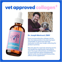 Taily Liquid Collagen cats-coat-shine: enhances cat fur brightness.